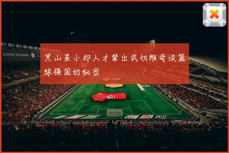 黑山虽小却人才辈出武切维奇谈篮球强国的秘密